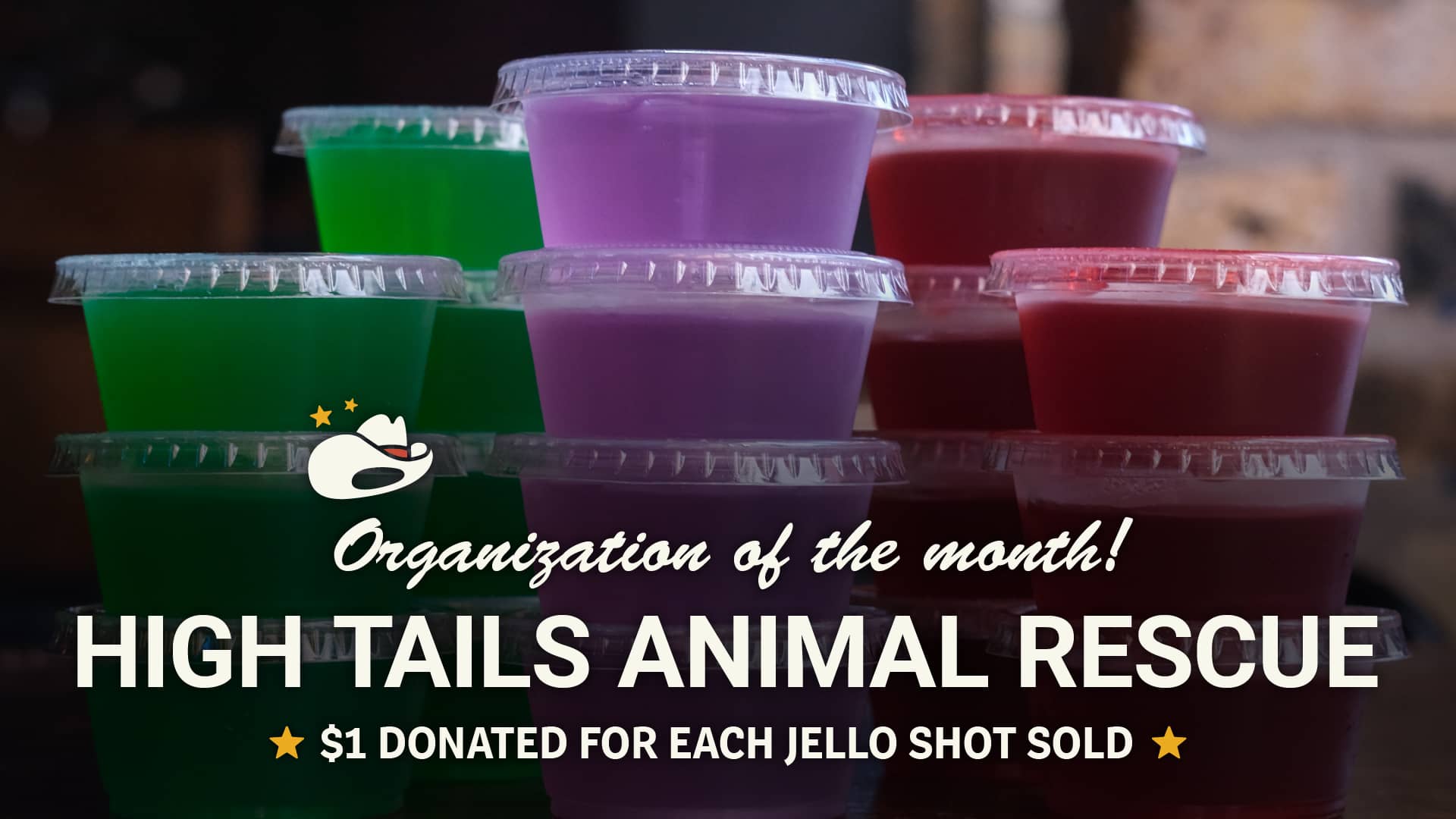 Poster for High Tails Animal Rescue, January's Organization of the Month